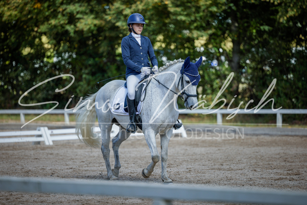 20250906-_3LI4968 | Tierfotografie Pferde, Hunde, Katzen, Haustiere.
Turnierfotografie Reitturniere, Reiten, Springreiten, Dressur in Hanau, dem Main-Kinzig-Kreis und dem Rhein-Main- Gebiet um Frankfurt