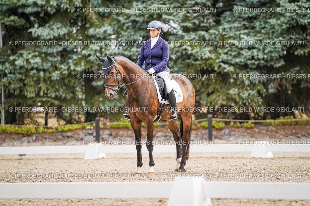 DSC02013 | Pferdegrafie