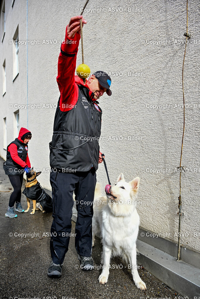 ASVÖ_ Tracking Dog World Championship 2025_ 31.03.2025-177 | 31.03.2025, AUT, ASVÖ, Tracking Dog World Championship // FCI IGP Fährtenhundeweltmeisterschaft 2025©fodo.media / Harald Dostal - Realisiert mit Pictrs.com