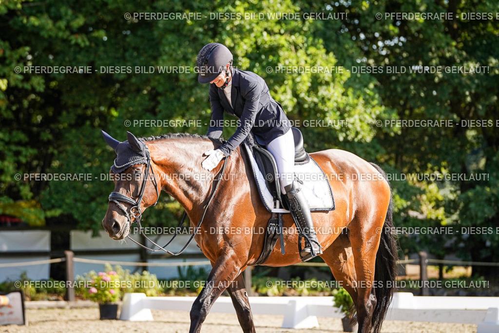 DSC08988 | Pferdegrafie