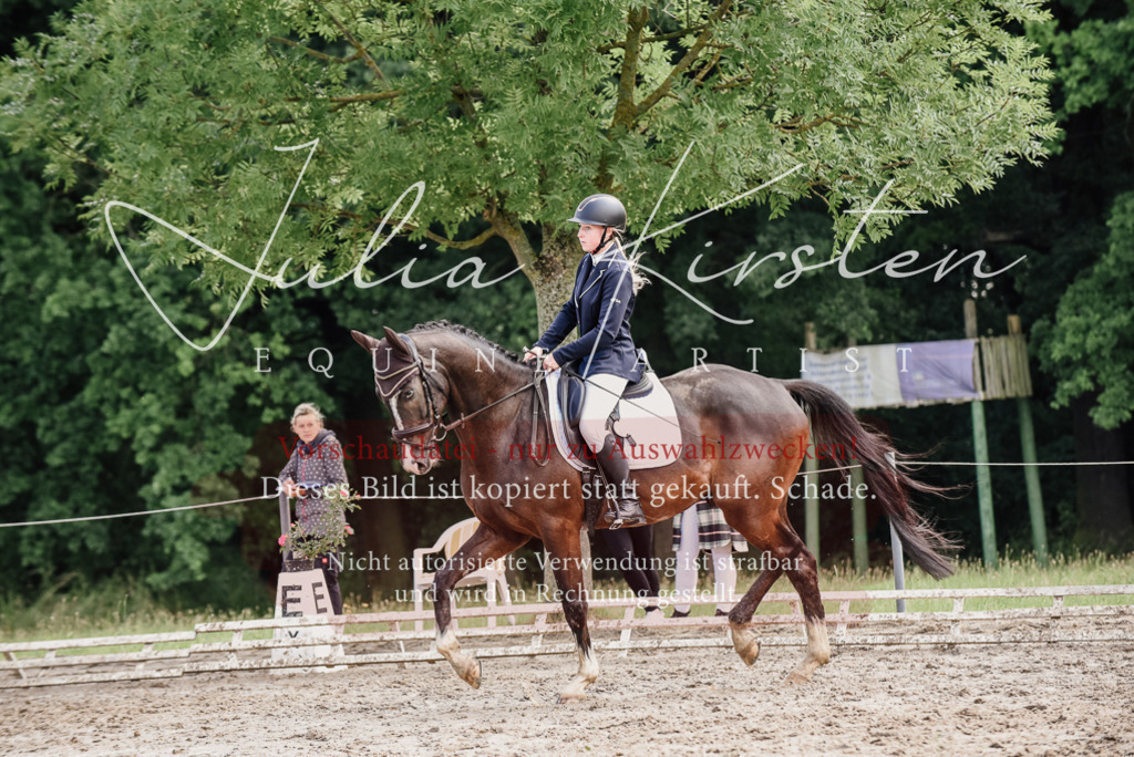DSC_0104 | Pferde- und Turnierfotografie in Westsachsen. Pferdeportraits, Auftragszeichnungen und intuitive Kunst.