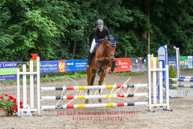 DKP44875 | Turniersportfotografie; Pferdefotografie; Dressurfotografie