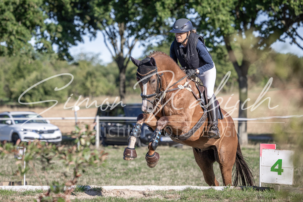20260906-_3LI1285 | Tierfotografie Pferde, Hunde, Katzen, Haustiere.
Turnierfotografie Reitturniere, Reiten, Springreiten, Dressur in Hanau, dem Main-Kinzig-Kreis und dem Rhein-Main- Gebiet um Frankfurt