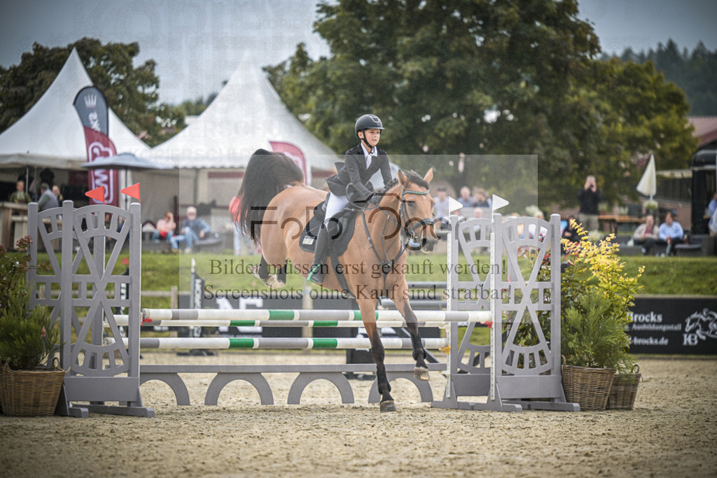 DOS_0100 | Entdecke hochwertige Reitturnierfotos von Foto Oger. Professionell, emotional und authentisch – jetzt Lieblingsmomente im Shop bestellen.Deutschlandweite Turnierfotografie. - Realisiert mit Pictrs.com