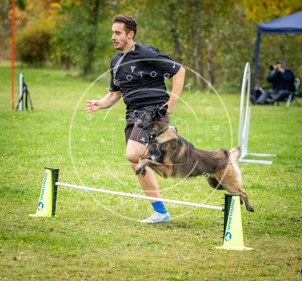 Pfotenfotografie_DV3A1044 | Hundefotografie, Tierfotograf, Pfotenfotografie, Fotoshooting Hund, Hunde Portrait, Hundesport, Hundeportraits, Heideshooting, Hunde, Sportfotograf, Hundefotograf, Turnierhundsport, THS,  - Realisiert mit Pictrs.com