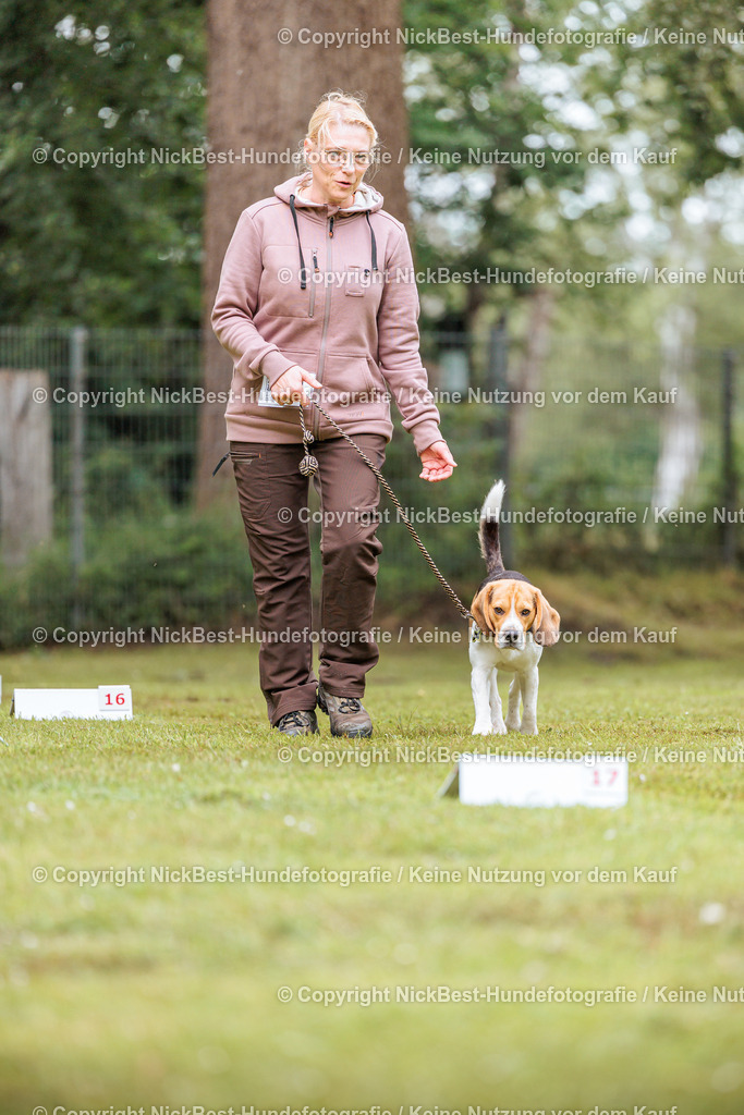 RO-Blumenthal-2026-Nickbest-Hundefotografie-4890 | Dein Hund! Dein Moment! Deine Erinnerungen! Hundefotografie in Bremen Blumenthal. Ich fange die besonderen Momente deines Vierbeiners ein – ob Indoor mit Blitzanlage oder in der freien Natur. Sicher dir dein Moment und dein Termin für eure Erinnerungen.