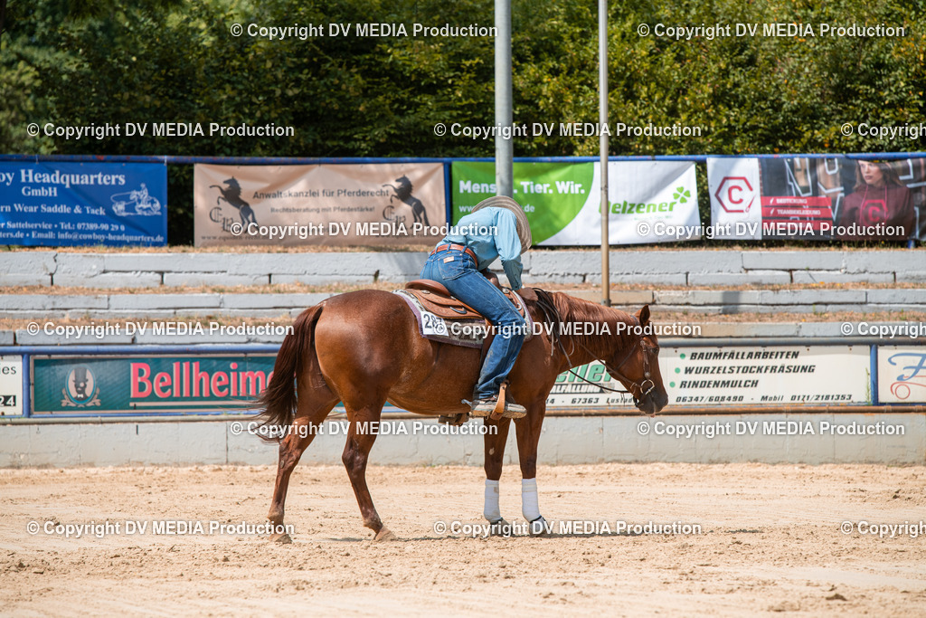 ZS3_9627 | dv-media-shop - Realisiert mit Pictrs.com