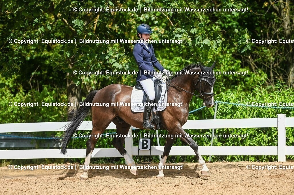 20230715_02_Dressurreiterprüfung Kl.L_0300 | equistock