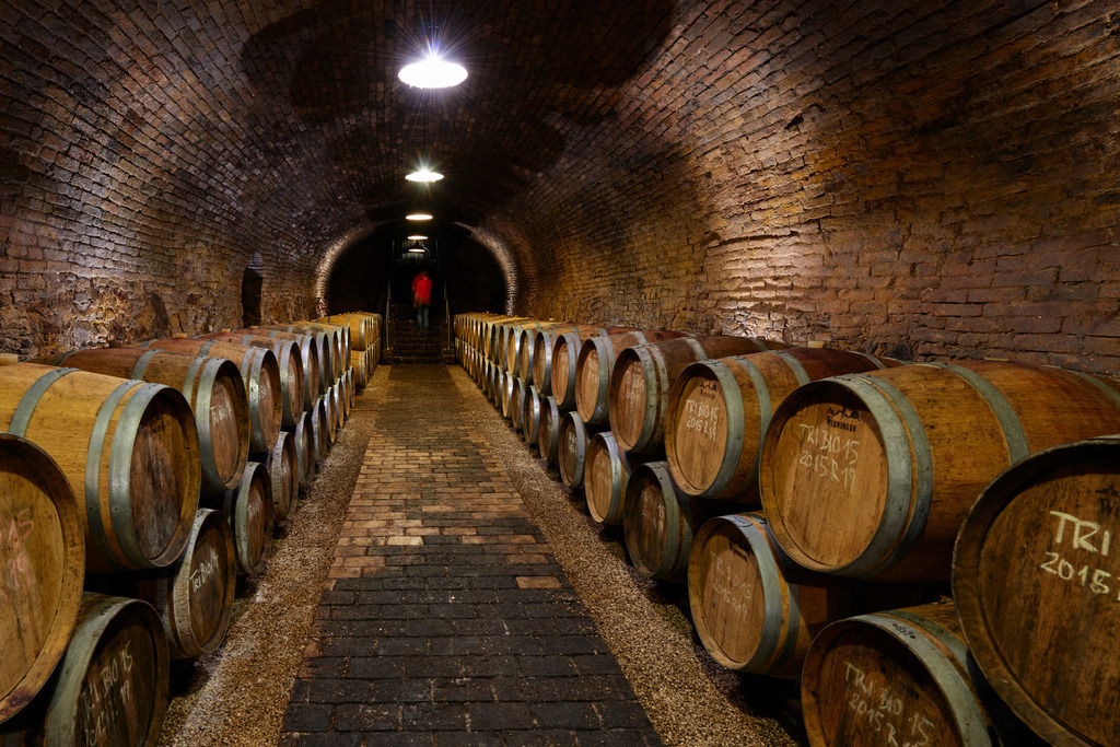 Weingut Wieninger Weinkeller | Wien, Austria - April 27, 2017: Weingut Wieninger; Fässer im Alten Weinkeller. - Realisiert mit Pictrs.com