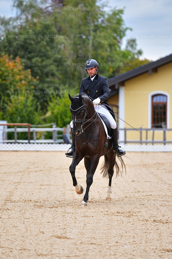 8_1-045-Klasse S_  -Marixx-4044 | working equitationturnier fotograf videograf stoibphotography marixx film working equitation deutschland reitsport turnierfotografie eventfotografie equestrian events