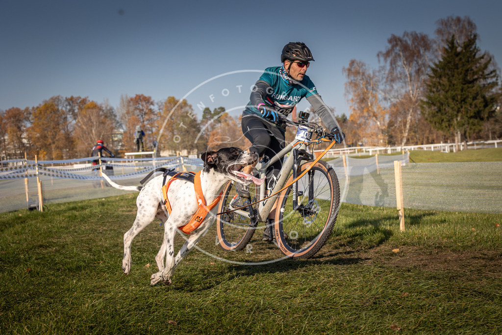 CaniXpix_0L8A7493 | Hundefotografie, Tierfotograf, Pfotenfotografie, Fotoshooting Hund, Hunde Portrait, Hundesport, Hundeportraits, Heideshooting, Hunde, Sportfotograf, Hundefotograf, Turnierhundsport, THS,  - Realisiert mit Pictrs.com