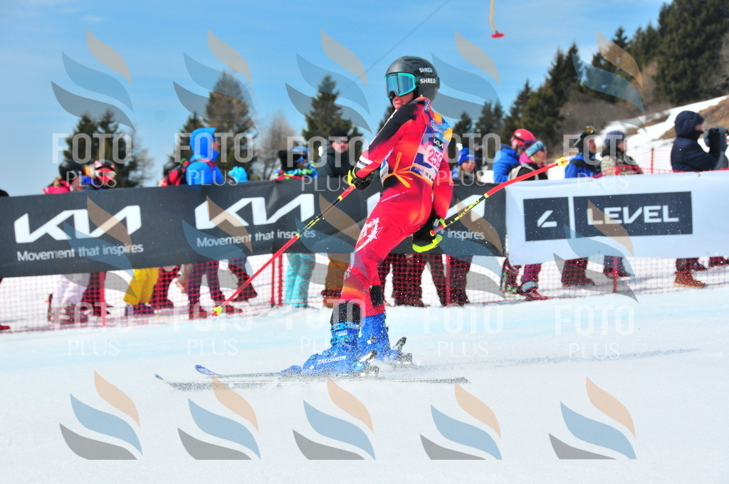 DSC_6176 | holidayphoto