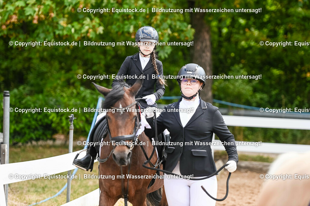 20230716_11_Führzügel-WB_0132 | equistock