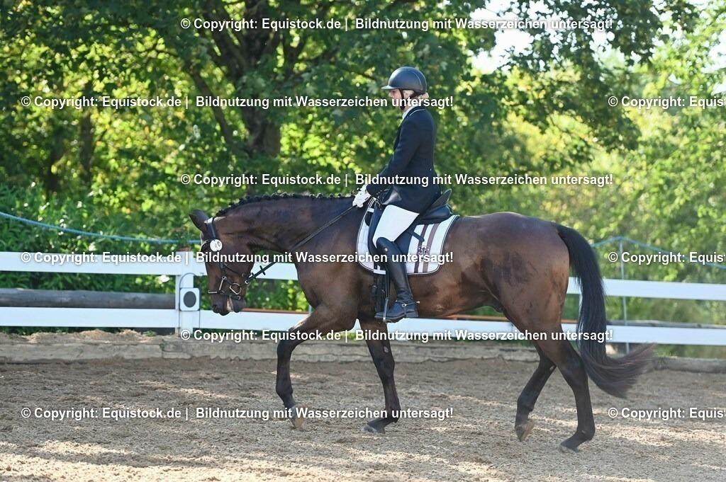 20230715_06_Dressurpferdeprfg. Kl.A_0053 | equistock