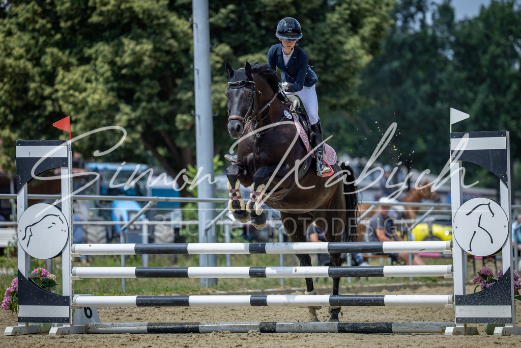 20260704-_3LI8783 | Tierfotografie Pferde, Hunde, Katzen, Haustiere.
Turnierfotografie Reitturniere, Reiten, Springreiten, Dressur in Hanau, dem Main-Kinzig-Kreis und dem Rhein-Main- Gebiet um Frankfurt