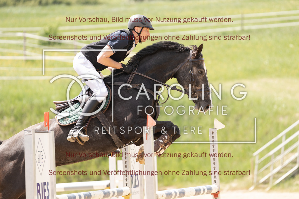 DSC06535 | Springturnier_Ehingen_Mai_2026, jannik_ramminger, Higgens_RR