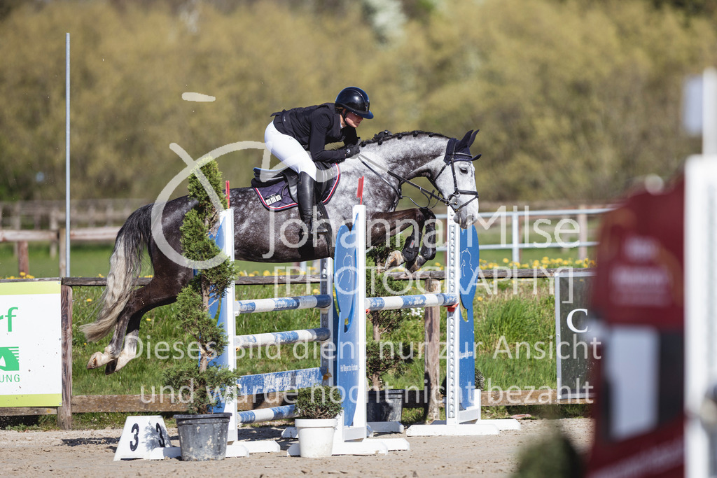 260421_Frühlingsfest_4_SprPf-L-415 | Deine schönsten Turniermomente als professionelle Fotos! Entdecke hochwertige Pferdesport-Fotografie im Online-Shop. Jetzt Fotos finden & bestellen!