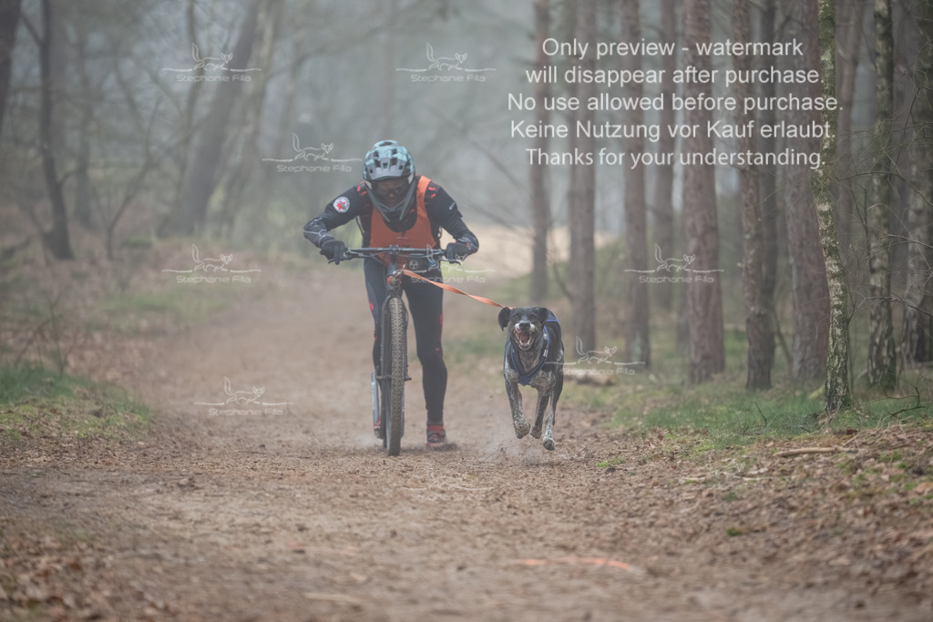 Scooter1-69 | stephaniefillaphotographie - Realisiert mit Pictrs.com