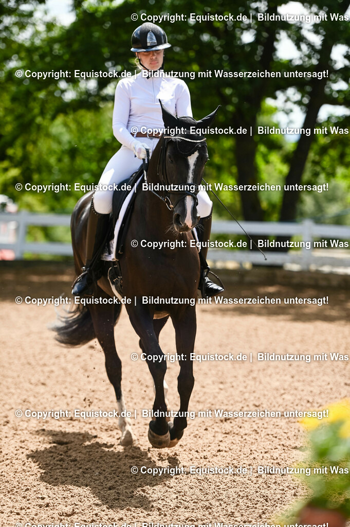 20230716_03_Dressurprfg. Kl.L - Tr._0048 | equistock