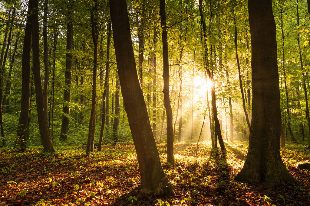 K-4 | Online Shop für Stock Fotos aus Augsburg und der ganzen Welt.
Europa, Seychellen, Island, Korsika, Sardinien, Griechenland, Deutschland,... - Realisiert mit Pictrs.com