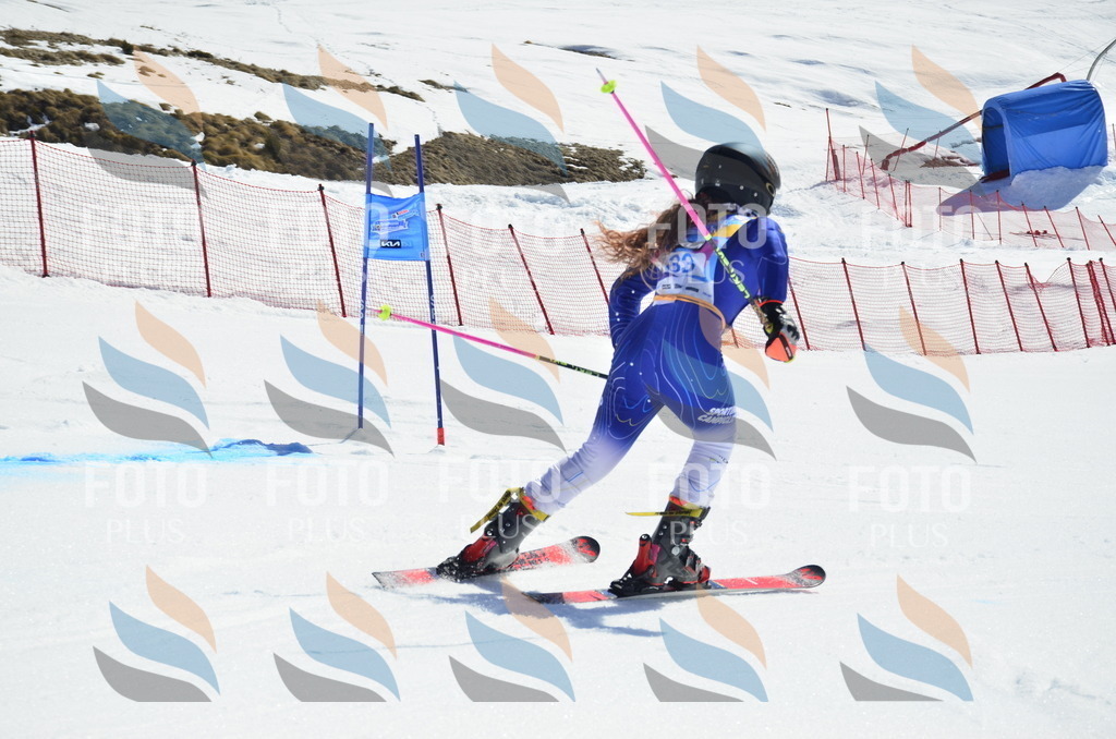 _ELE0435 | holidayphoto