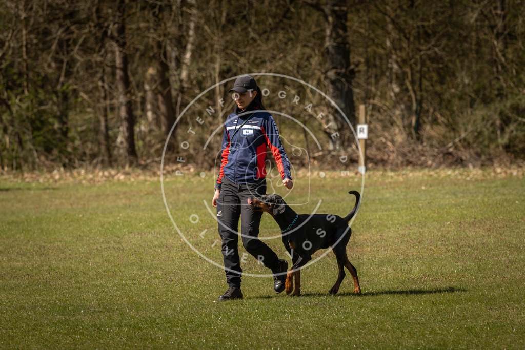 Pfotenfotografie_DV3A0778 | Hundefotografie, Tierfotograf, Pfotenfotografie, Fotoshooting Hund, Hunde Portrait, Hundesport, Hundeportraits, Heideshooting, Hunde, Sportfotograf, Hundefotograf, Turnierhundsport, THS,  - Realisiert mit Pictrs.com