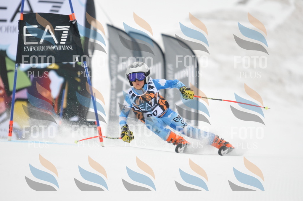 DSC_7972 | holidayphoto