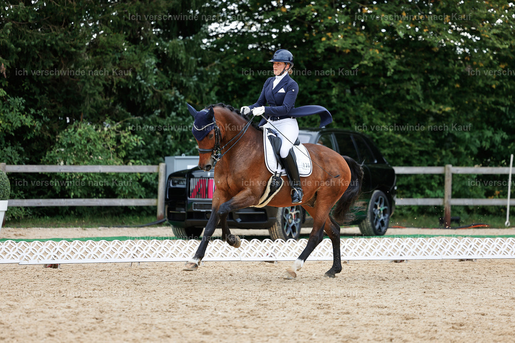 11-036-Dressur S___-StoibPH-1440 | working equitationturnier fotograf videograf stoibphotography marixx film working equitation deutschland reitsport turnierfotografie eventfotografie equestrian events