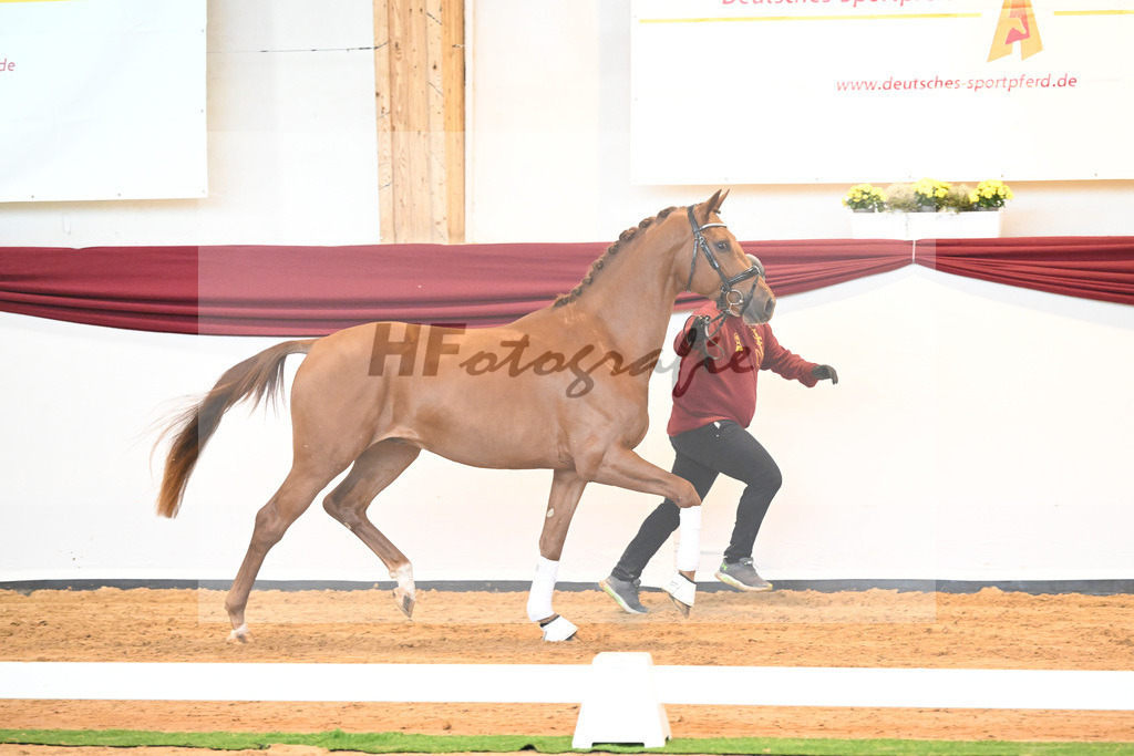 Kat-Nr. 28 v. Erdinger_Schuhmacher_66220776 | hf-fotografie - Realisiert mit Pictrs.com