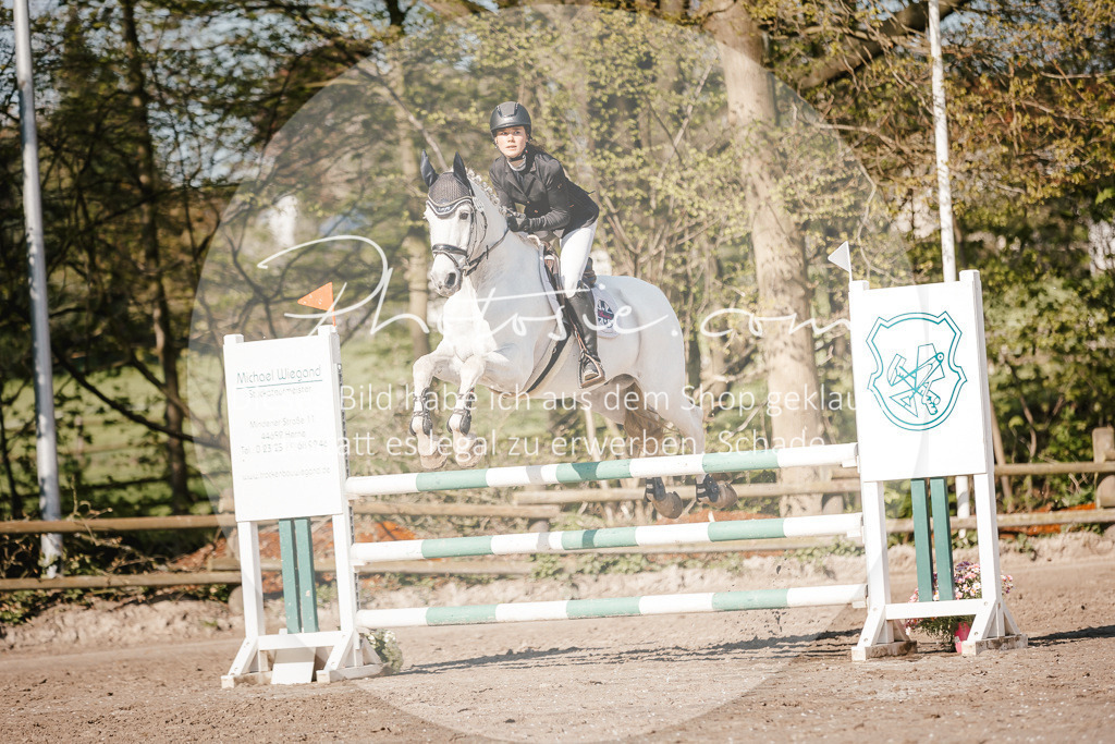 3I6A3757 | Stimmungsvolle Portraits und Reitsportfotografie im Ruhrgebiet und im Münsterland.

Pferdefotografie, Hundefotografie, Tierfotografie, Reportagen, Portraits von Tier und Mensch, Turnierfotografie in Bochum, Recklinghausen, Marl, Haltern am See, Dülmen.. - Realisiert mit Pictrs.com