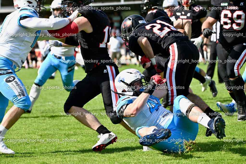 Carinthian Lions vs. Styrian Bears | Carinthian Lions vs. Styrian Bears, Carinthian Lions vs. Styrian Bears am 20.05.2024 in Klagenfurt (ASV Sportplatz), Austria, (Photo by Bernd Stefan)