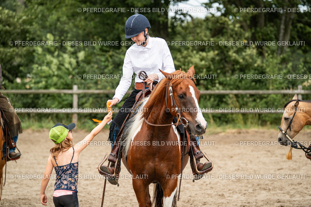 DSC04032 | Pferdegrafie