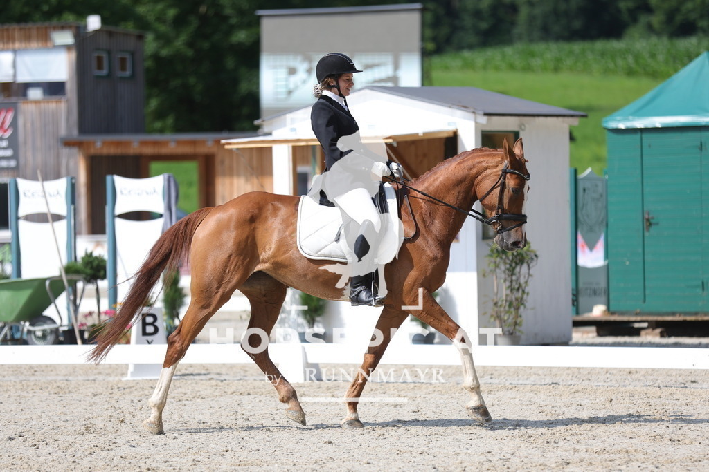 0P6A8992 | Willkommen bei Brunnmayr - Design & Fotografie – Ihrem Spezialisten für Reitturniere und Pferdeveranstaltungen in Oberösterreich, Salzburg und Bayern! Seit über 17 Jahren sind wir leidenschaftlich dabei.