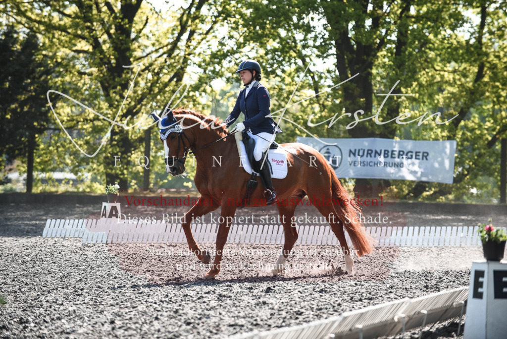 DSC_8869 | Pferde- und Turnierfotografie in Westsachsen. Pferdeportraits, Auftragszeichnungen und intuitive Kunst.