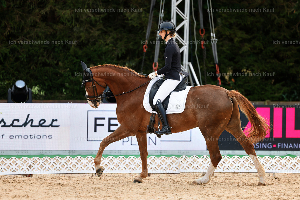 02-037-DRESSUR L_  -StoibPH-4680 | working equitationturnier fotograf videograf stoibphotography marixx film working equitation deutschland reitsport turnierfotografie eventfotografie equestrian events