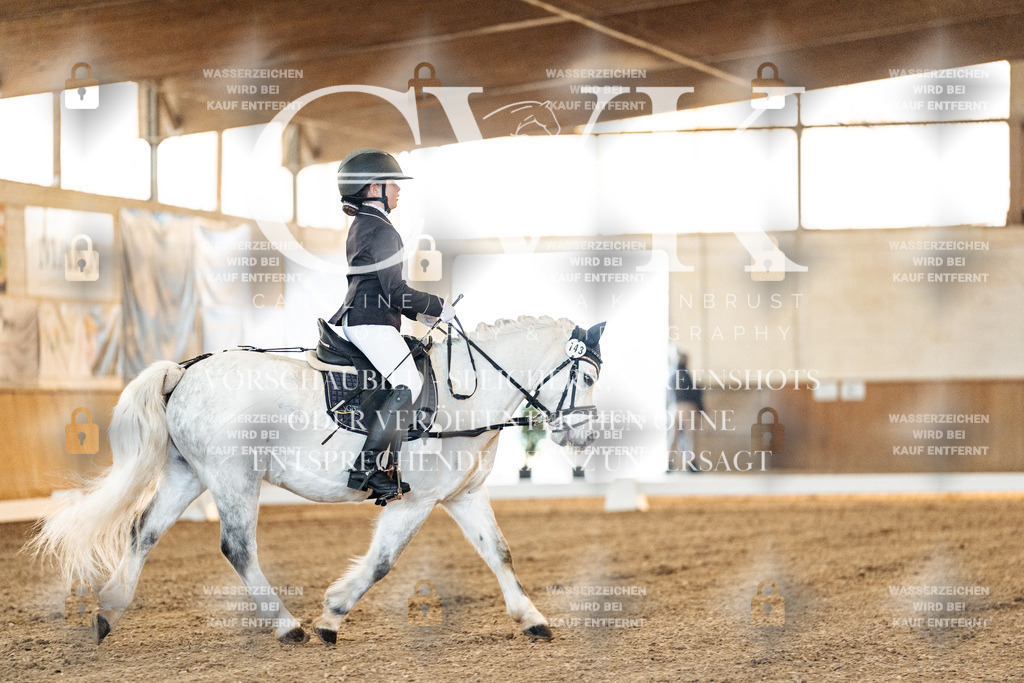 CK906391 | Turnierfotografie Pferdefotografie Trier Rheinland-Pfalz Pferdesport Reitsport Tierfotografie Sportfotografie Pferdevideo Pferdevideografie Equestrianvideography equestrianphotography  - Realized with Pictrs.com