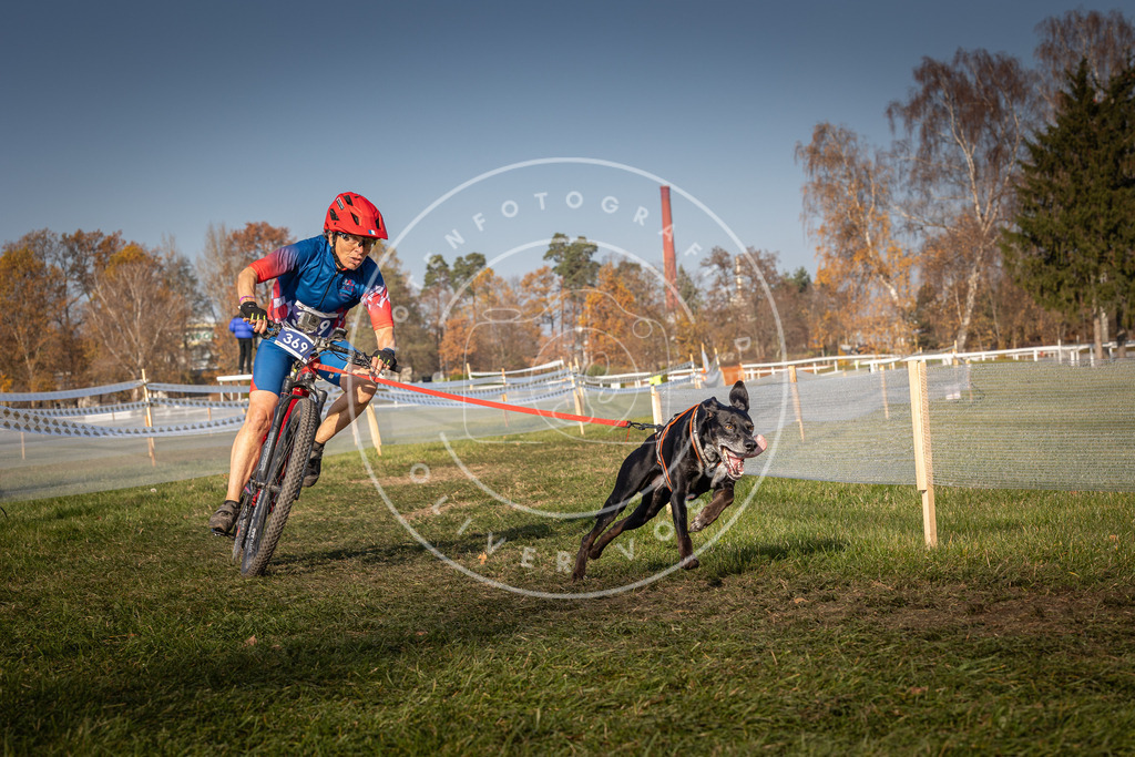 CaniXpix_0L8A7014 | Hundefotografie, Tierfotograf, Pfotenfotografie, Fotoshooting Hund, Hunde Portrait, Hundesport, Hundeportraits, Heideshooting, Hunde, Sportfotograf, Hundefotograf, Turnierhundsport, THS,  - Realisiert mit Pictrs.com