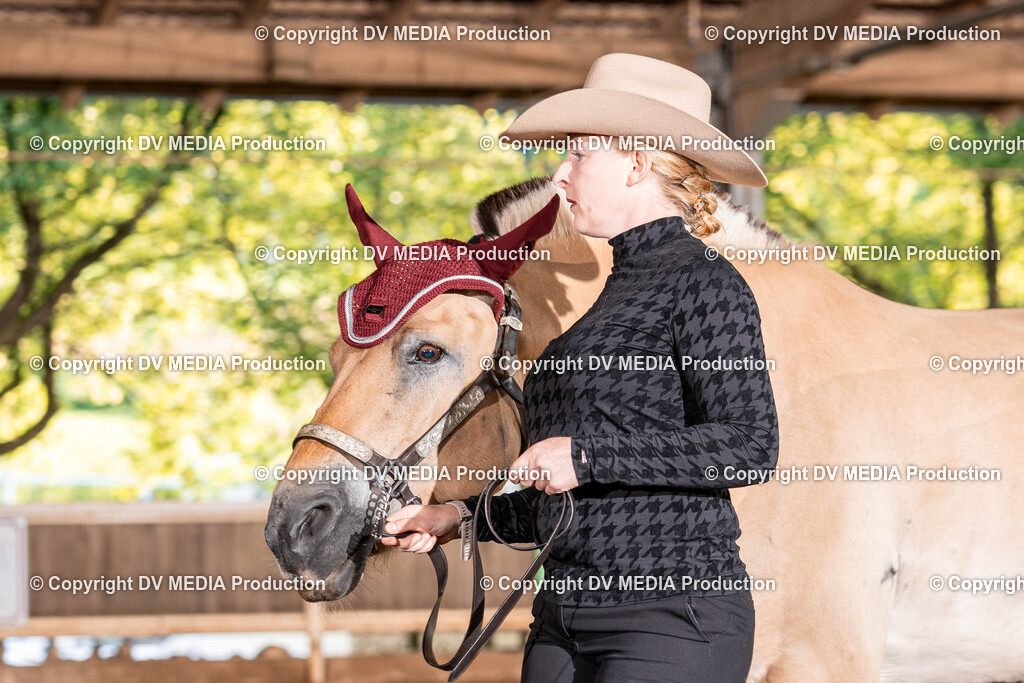 Erbach Tag 3-090 | dv-media-shop - Realisiert mit Pictrs.com