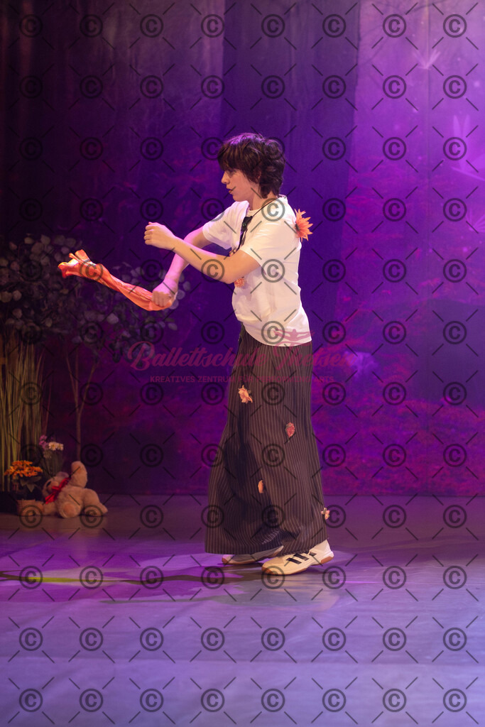 Ballettaufführung-744 | Bildershop Lem'n Entertainment - Realisiert mit Pictrs.com