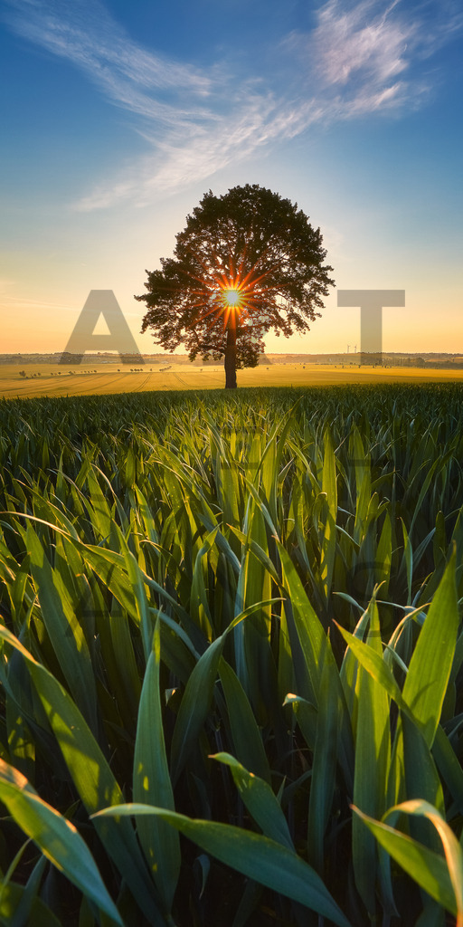 Ein Hans Fineart Original | Entdecke die Kunst von Hans Fineart - Fotografien für dein Zuhause. Verwandle deine Wände mit einzigartigen Kunstwerken und bringe die Schönheit der Welt in dein Leben. Bestelle jetzt und schaffe einen Ort der Inspiration und Eleganz.