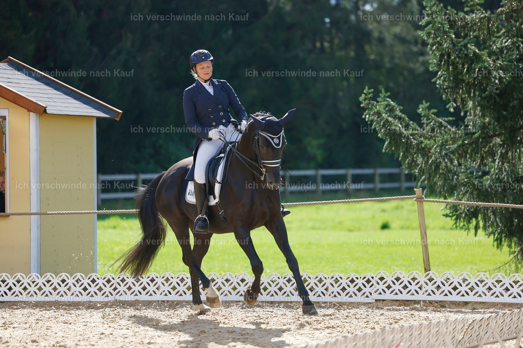 09_2-034-DRESSUR  S_  -StoibPH-5823 | working equitationturnier fotograf videograf stoibphotography marixx film working equitation deutschland reitsport turnierfotografie eventfotografie equestrian events