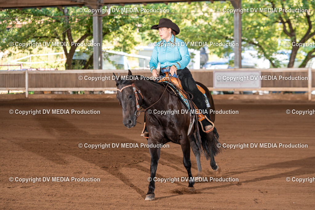 Erbach Tag 3-284 | dv-media-shop - Realisiert mit Pictrs.com