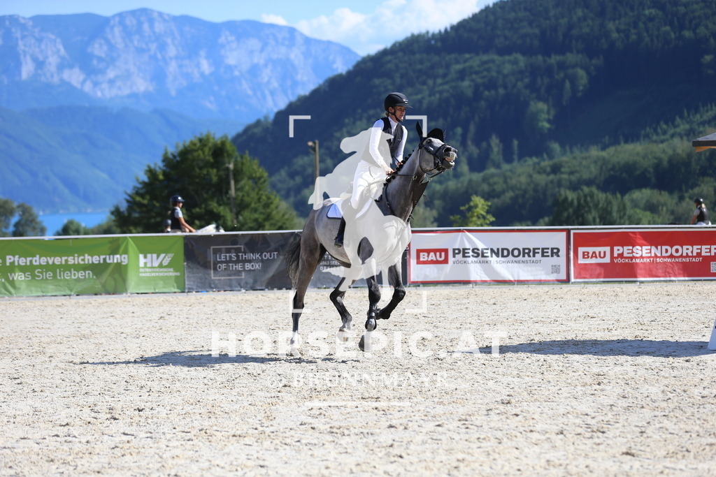 DL2Q8164 | Willkommen bei Brunnmayr - Design & Fotografie – Ihrem Spezialisten für Reitturniere und Pferdeveranstaltungen in Oberösterreich, Salzburg und Bayern! Seit über 17 Jahren sind wir leidenschaftlich dabei.