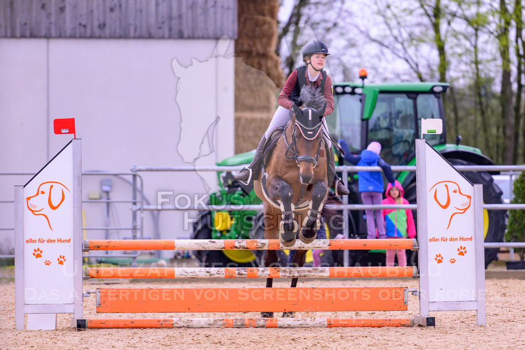12042026-Mammendorf-Prfg38-0687 | Fokus Hufschlag Fotografie - Realisiert mit Pictrs.com