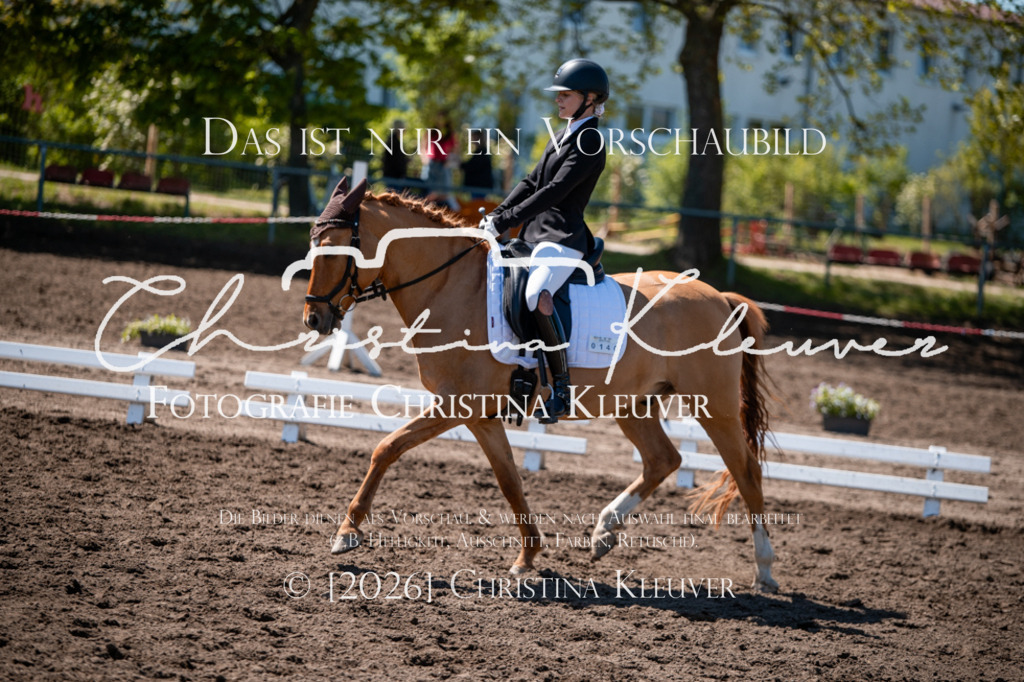 DSC_6115 | Christina-Kleuver
