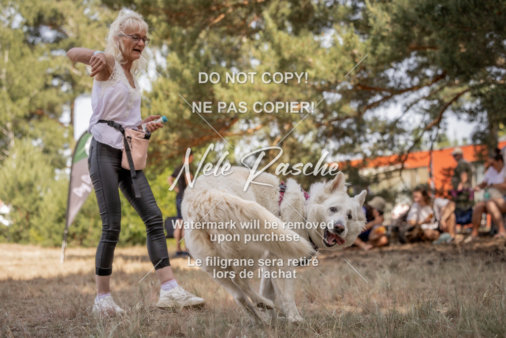 nelerasche_soDD2_186 | nelerasche
