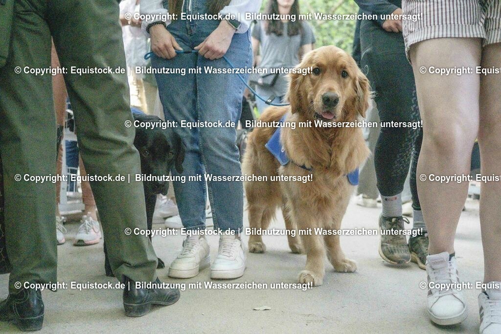 20230527_14_CSI4_Lotto-Hessen-Preis_0257 | equistock