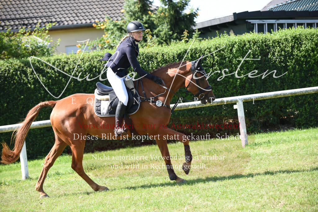 DSC_9232 | Pferde- und Turnierfotografie in Westsachsen. Pferdeportraits, Auftragszeichnungen und intuitive Kunst.