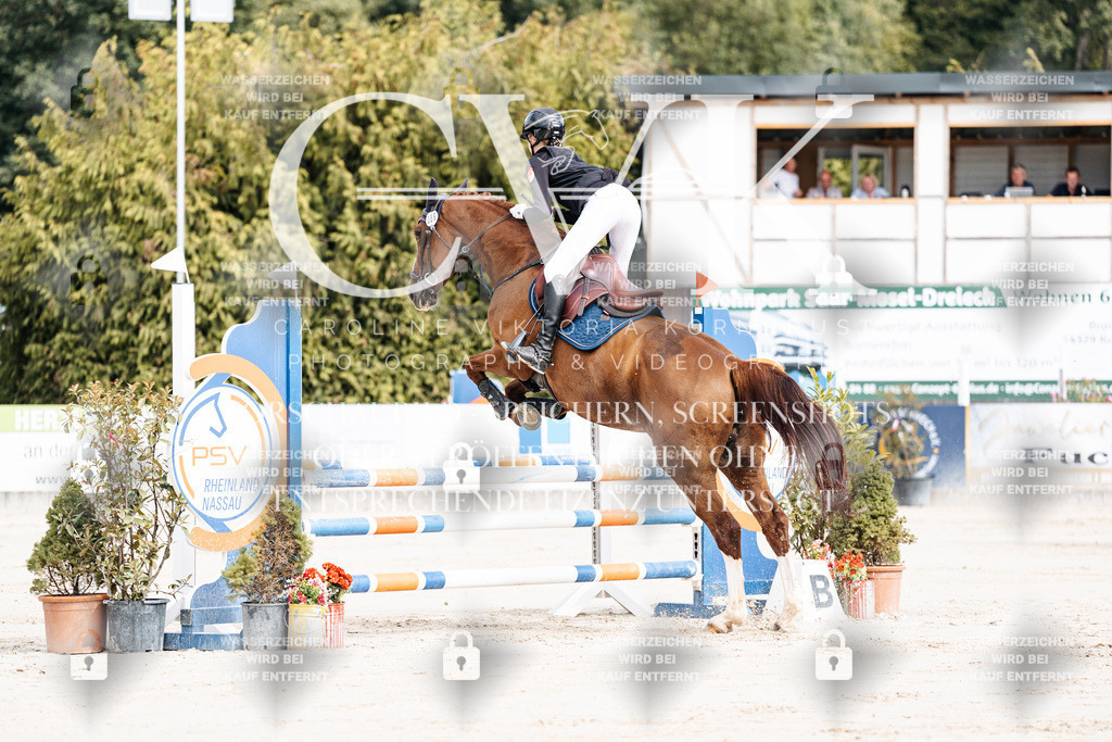 CK908879 | Turnierfotografie Pferdefotografie Trier Rheinland-Pfalz Pferdesport Reitsport Tierfotografie Sportfotografie Pferdevideo Pferdevideografie Equestrianvideography equestrianphotography  - Realisiert mit Pictrs.com