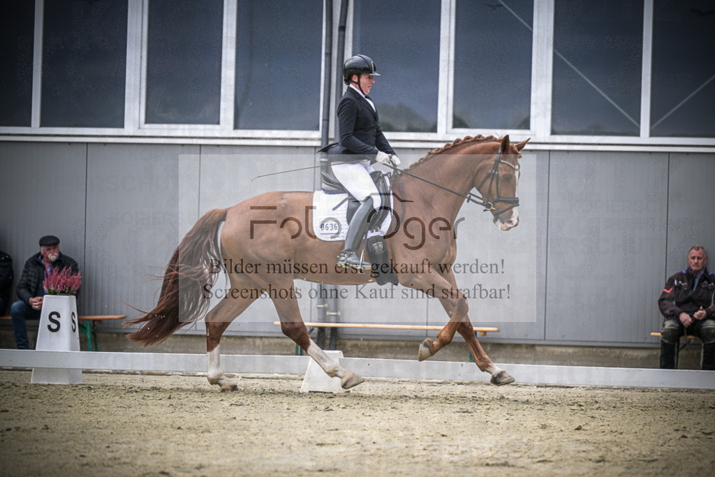 DOS_0900 | Entdecke hochwertige Reitturnierfotos von Foto Oger. Professionell, emotional und authentisch – jetzt Lieblingsmomente im Shop bestellen.Deutschlandweite Turnierfotografie. - Realisiert mit Pictrs.com